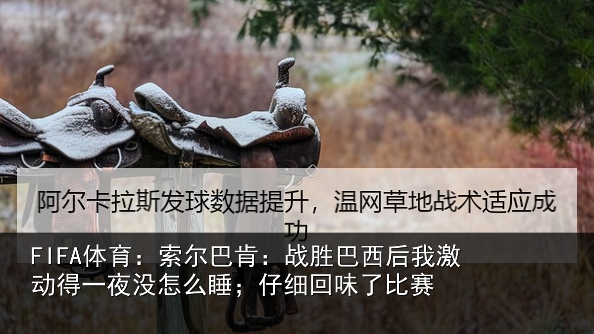 FIFA体育:索尔相关情况激动相关情况细回味了比赛